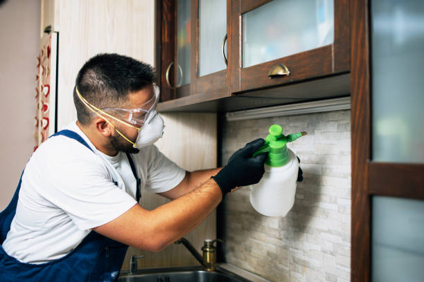 Best Best Pest Control Near Me  in Hendron, KY