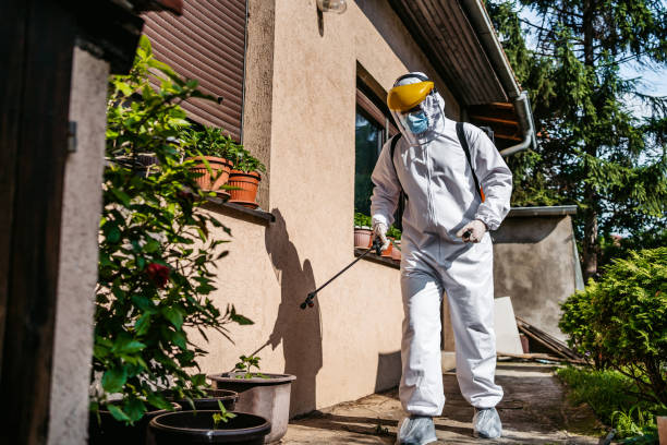 Best Rat Extermination Near Me  in Hendron, KY