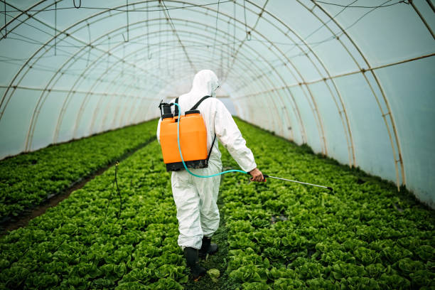 Best Pest Control Near Me in Hendron, KY