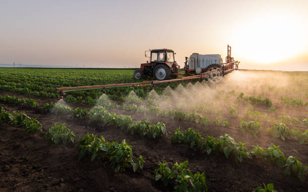 Best Pest Control for Businesses  in Hendron, KY