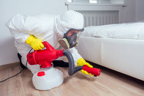Best Pest Removal Services  in Hendron, KY