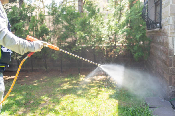 Best Affordable Pest Control Services  in Hendron, KY