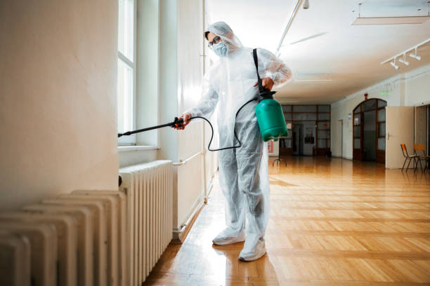 Best Emergency Pest Control  in Hendron, KY