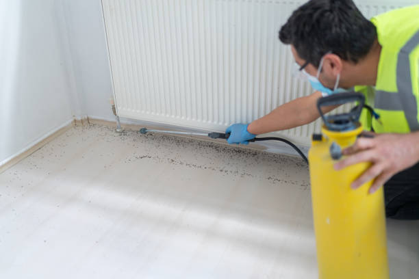 Best Pest Inspection Near Me  in Hendron, KY